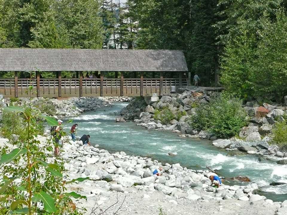 USA vs Canada: How Gambling Can Differ 7 nita lake lodge