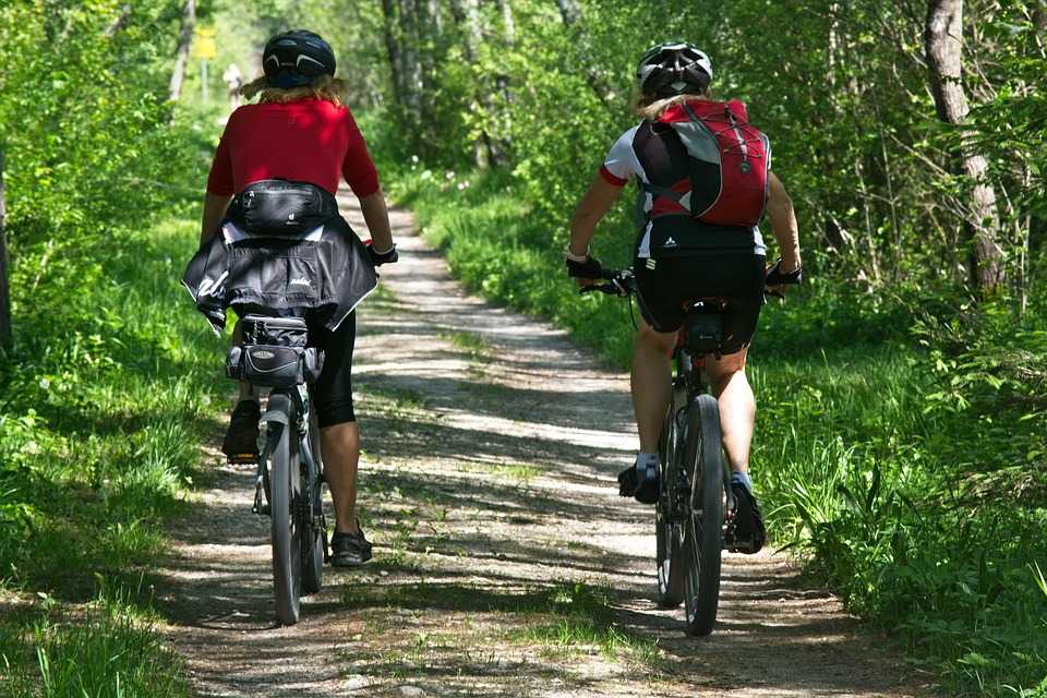 7 Best Things to do at Craigleith Provincial Park 10 Craigleith provincial Park