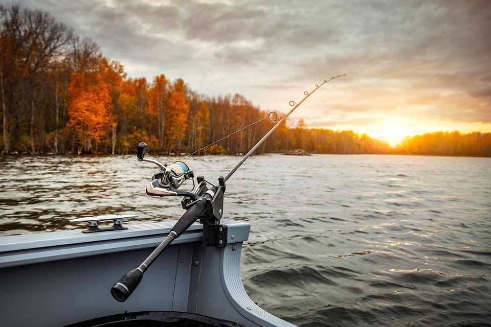 USA vs Canada: How Gambling Can Differ 10 Fitzroy Provincial Park