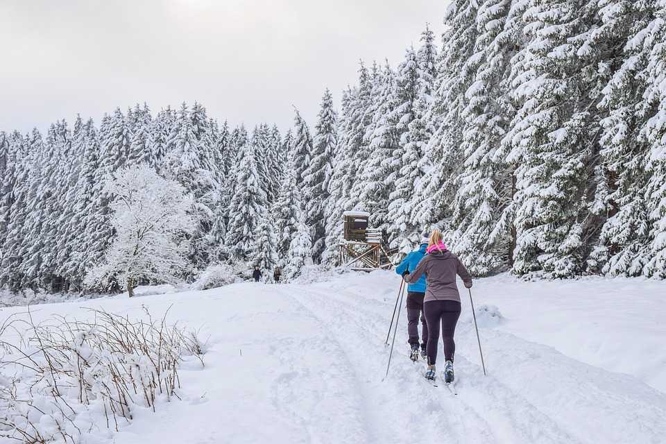 USA vs Canada: How Gambling Can Differ 11 Fitzroy Provincial Park