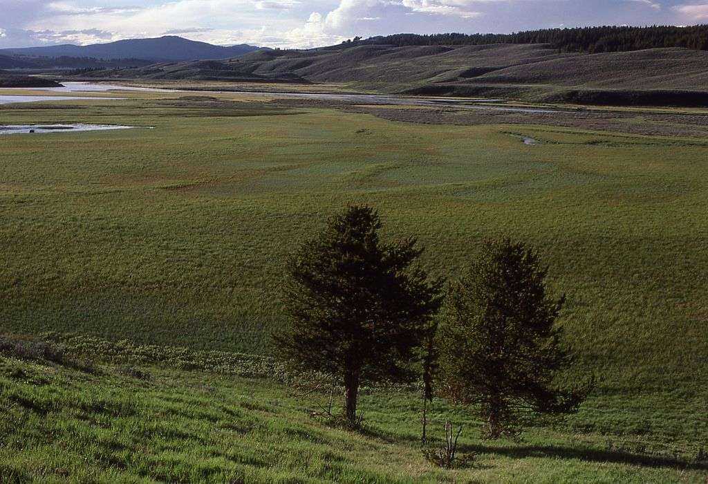 Yellowstone National Park: The Best 10 Minute Guide 4 hayden valley