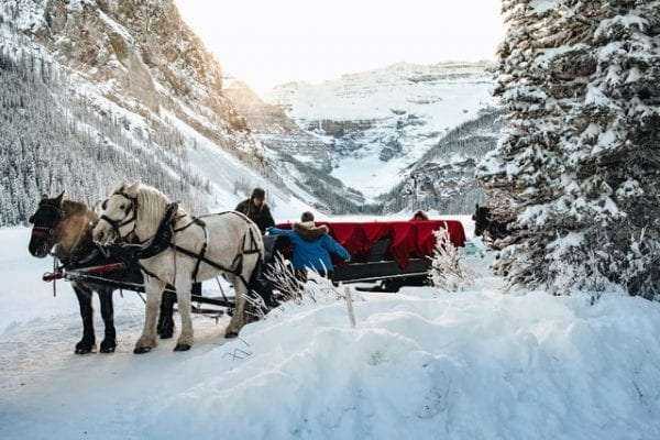 5 Best Things To Do At Lake Louise - The Ultimate Guide You Need 6 5 Best Things To Do At Lake Louise - The Ultimate Guide You Need 3