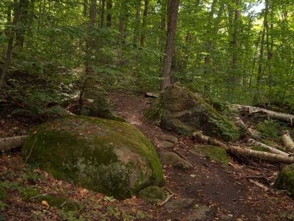 Awenda Provincial Park: A Trusty, Complete Guide 2020 3 Awenda_Provincial_Park