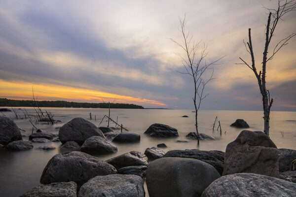 Awenda Provincial Park: A Trusty, Complete Guide 2020 4 Awenda Provincial Park: A Trusty, Complete Guide 2020 3