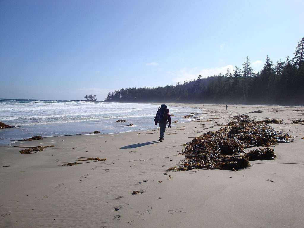 Adventurous Realm: 7 Best Campgrounds Vancouver Island 4 Adventurous Realm: 7 Best Campgrounds Vancouver Island 2