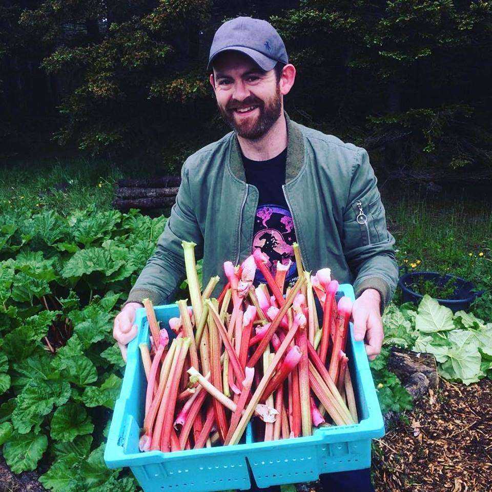 St. John's Farmer Market: 9 Best Facts 10 St. John's Farmer Market: 9 Best Facts 6