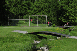 Take A Shot: 11 Best Surrey Golf Course 8 Meridian Golf Par-3