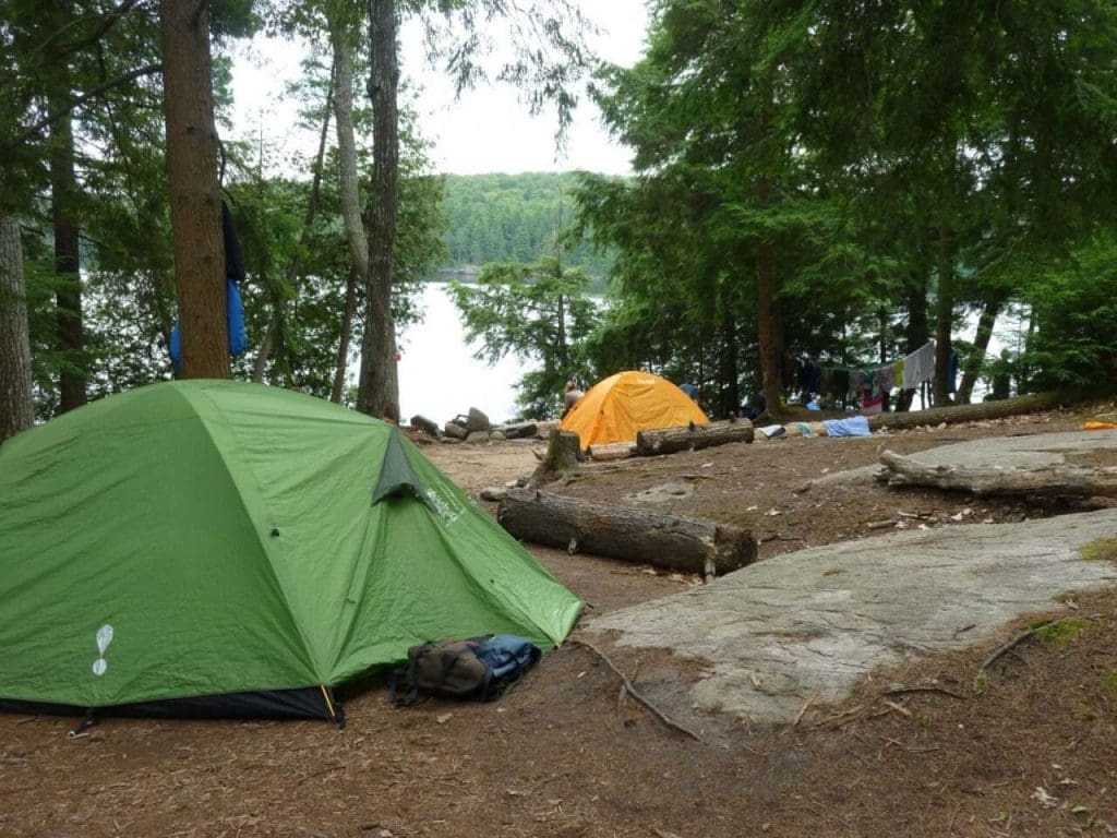 Haliburton Ontario: 14 Fun Things to Do! 9 Haliburton Forest and Wildlife Reserve