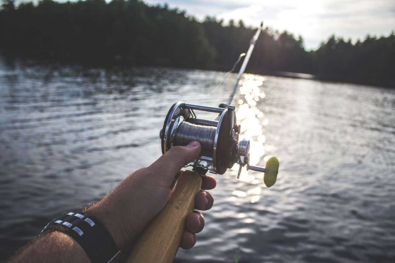 All About The Amazing Largemouth Bass 13 All About The Amazing Largemouth Bass 6