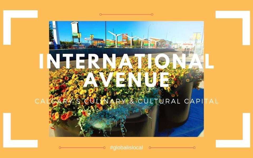 Top 10 Best Calgary Boutiques 8 International Avenue BRZ