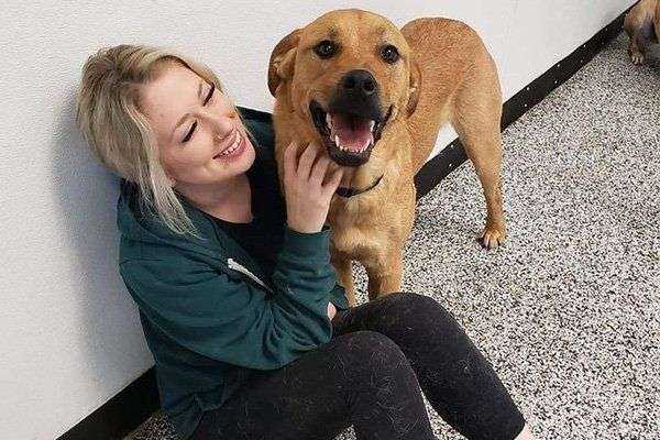 Bow Wow: Top 8 Best Dog Daycares Calgary 7 Pawsitively Pooched