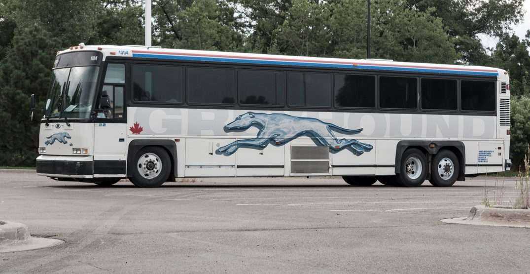 Travelers Guide To Canada Tourism: Know 8 Important Things 15 Greyhound bus services