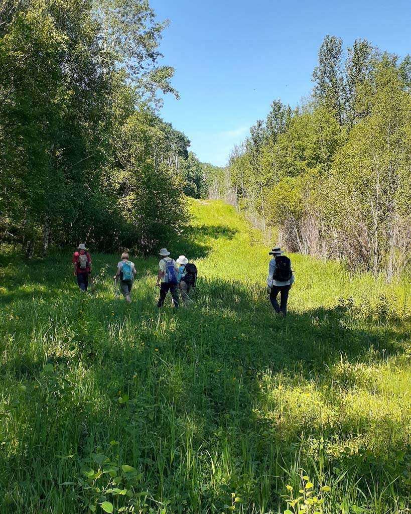 Top 10 Best Trek Canada Guide 3 Top 10 Best Trek Canada Guide 2