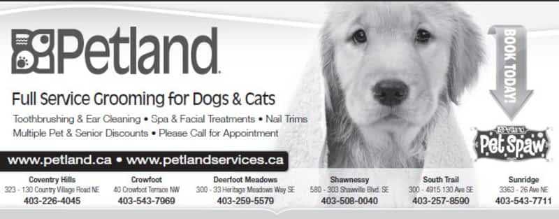 10 Best Pet Stores Calgary 10 Petland - Pet stores Calgary