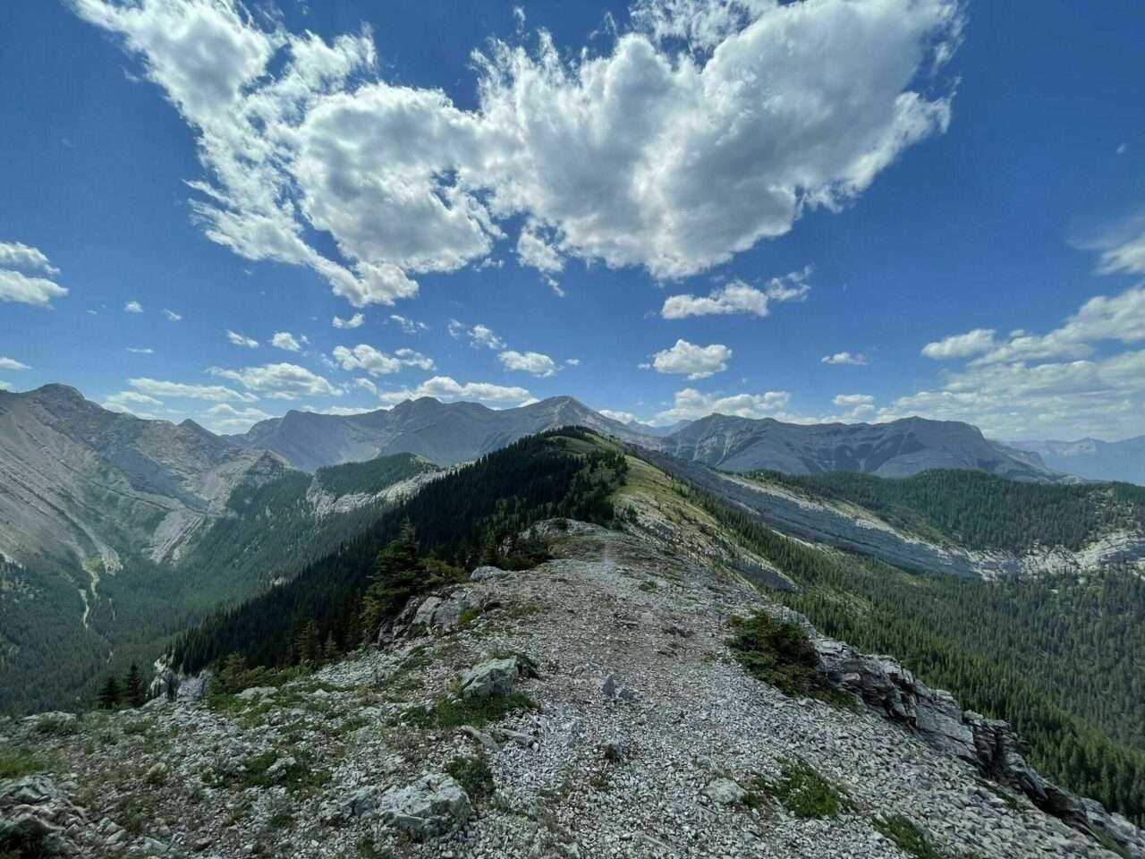 Top 10 Incredible Canmore Hikes For You 12 Heart Mountain Horseshoe Trail