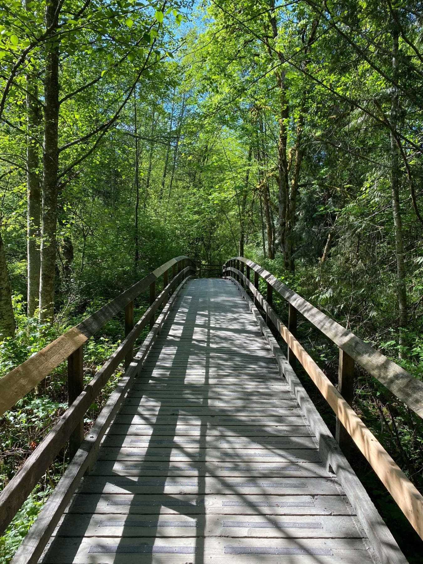 5 Best Places To Live In Canada 6 Surrey