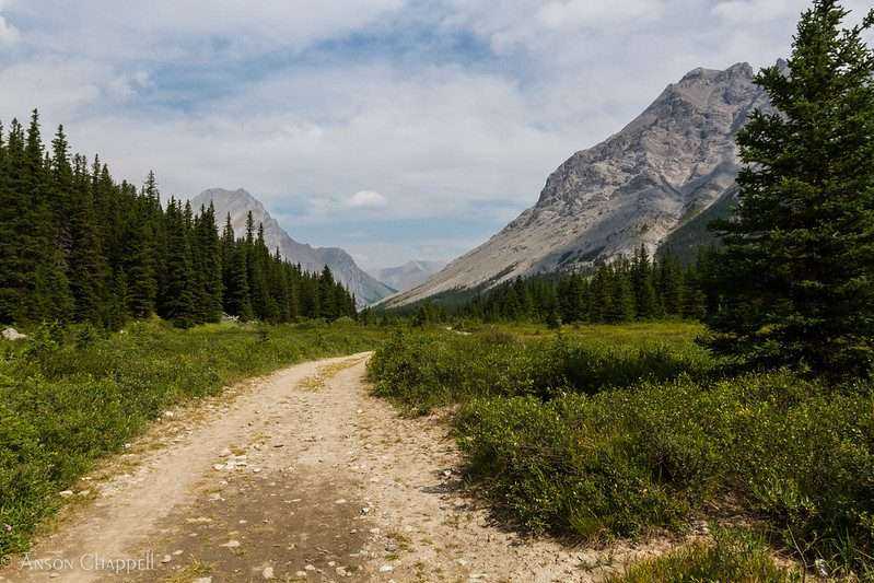 On Kananaskis Hikes: 9 Best Places 12 Elbow Lake Trail In Kananaskis Country