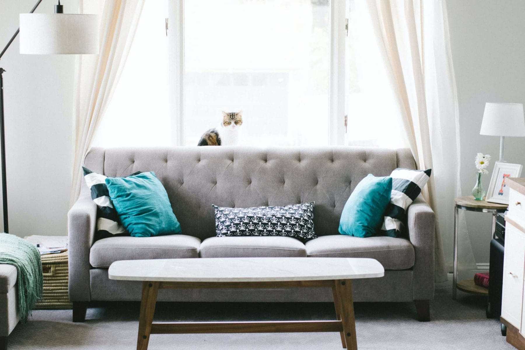 Top 10 Calgary Painters You Should Know About 11 Calgary Painters