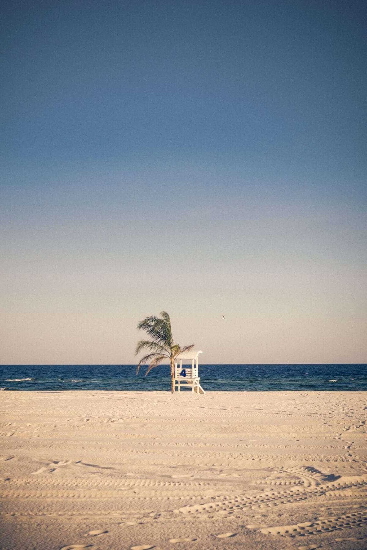 22 Fun Facts About Gulf Shores 7 Gulf Shores