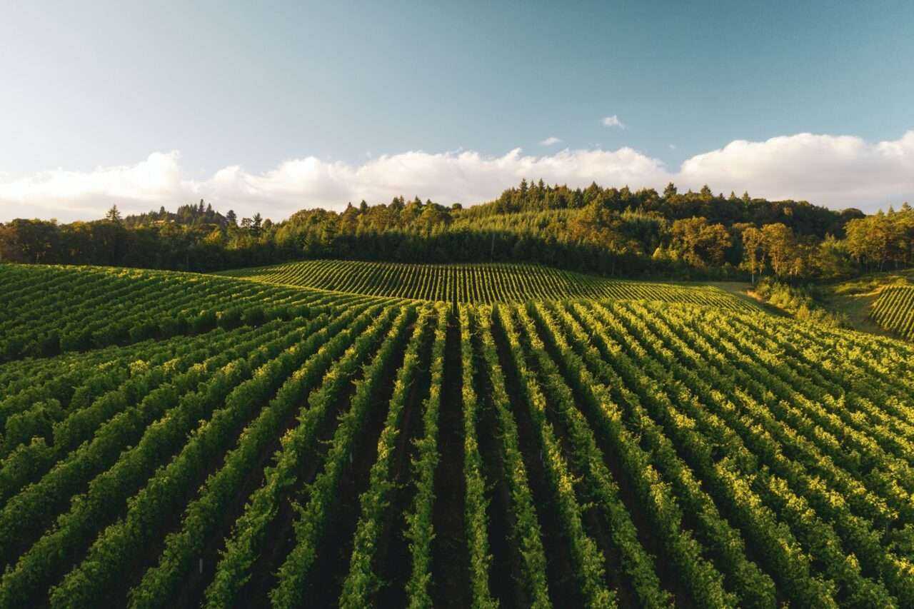 Farming in Canada - Useful Info All in One Place 8 Farming in Canada - Useful Info All in One Place 3