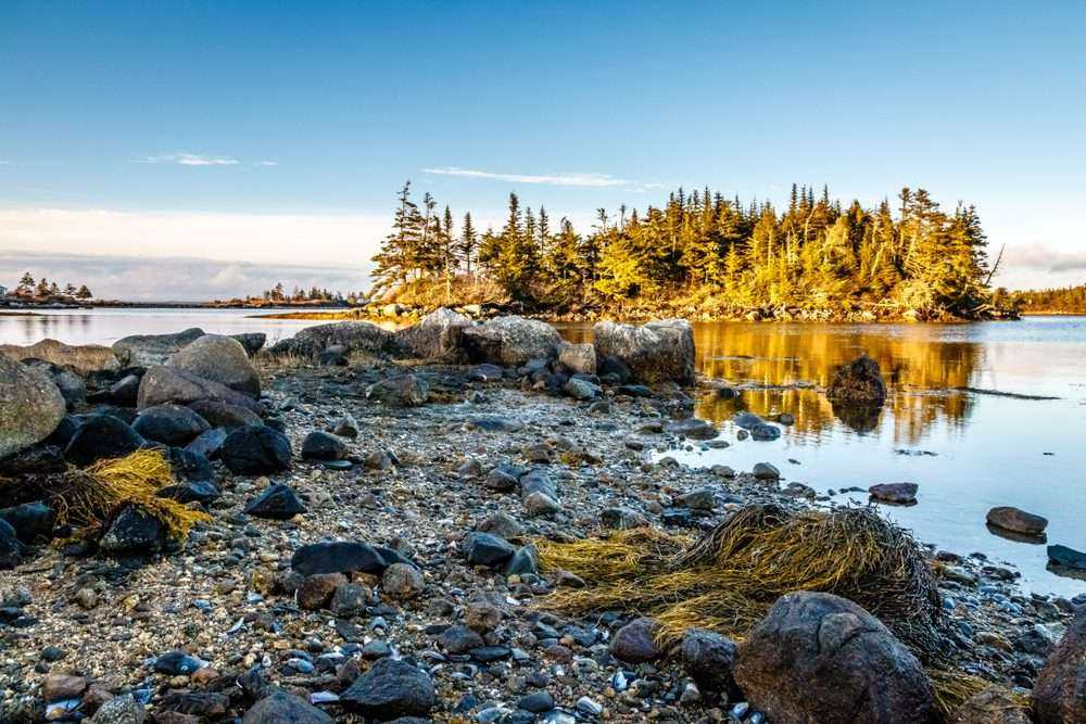 Sable Island: 7 Interesting Facts 10 Sable Island: 7 Interesting Facts 5