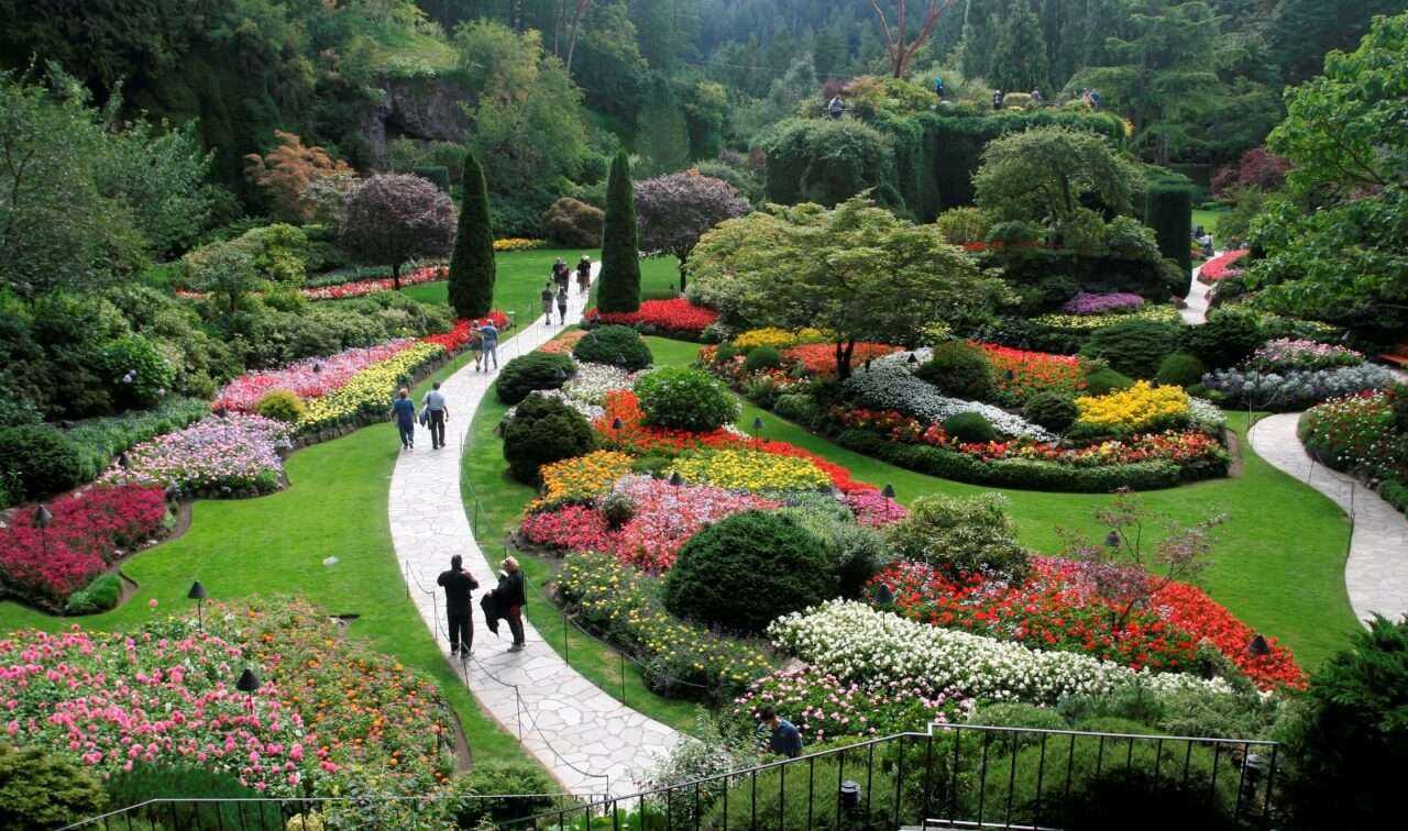 What to See on Vancouver Island? 14 Best Places 8 What to See on Vancouver Island? 14 Best Places 5