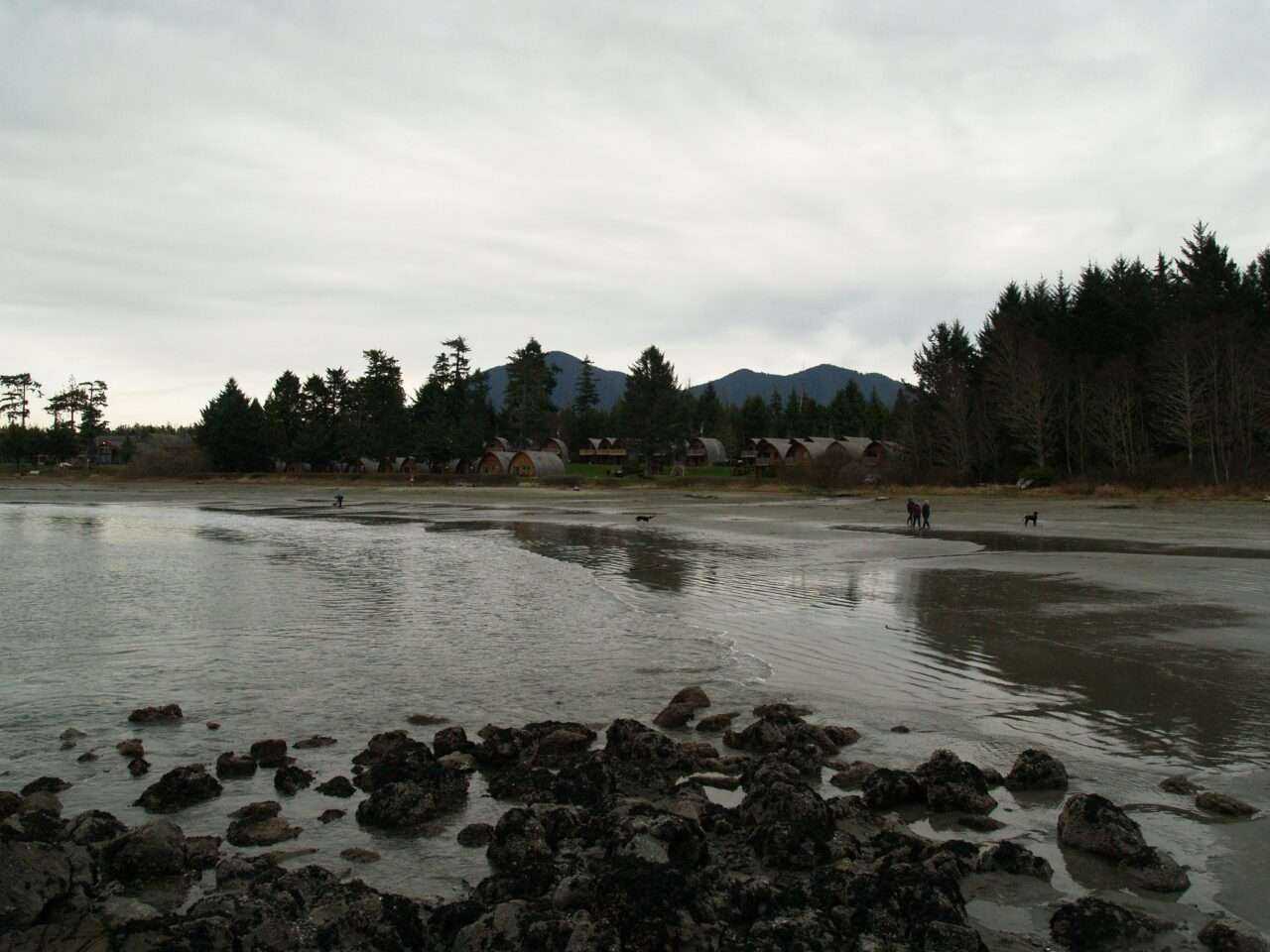 What to See on Vancouver Island? 14 Best Places 19 What to See on Vancouver Island? 14 Best Places 16