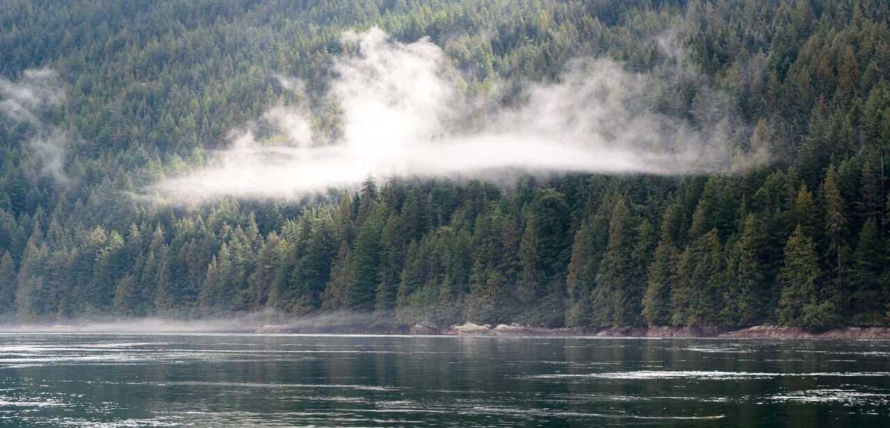 What to See on Vancouver Island? 14 Best Places 20 What to See on Vancouver Island? 14 Best Places 17