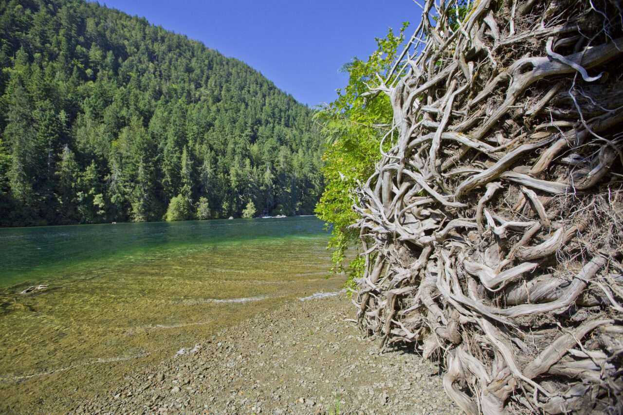 What to See on Vancouver Island? 14 Best Places 17 What to See on Vancouver Island? 14 Best Places 14