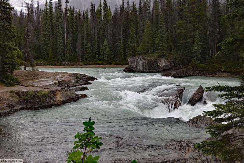 5 Best Reasons You Should Visit Yoho National Park For 3 5 Best Reasons You Should Visit Yoho National Park For 2
