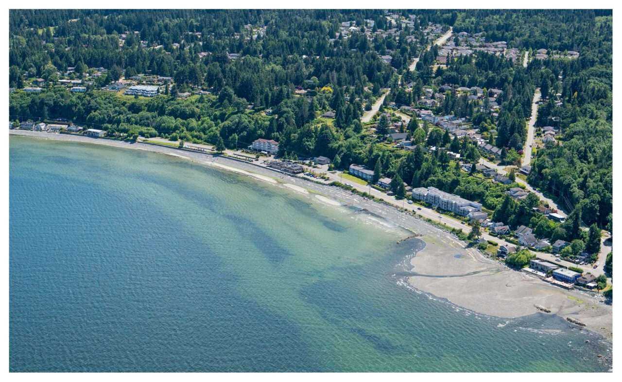 What to See on Vancouver Island? 14 Best Places 16 What to See on Vancouver Island? 14 Best Places 13