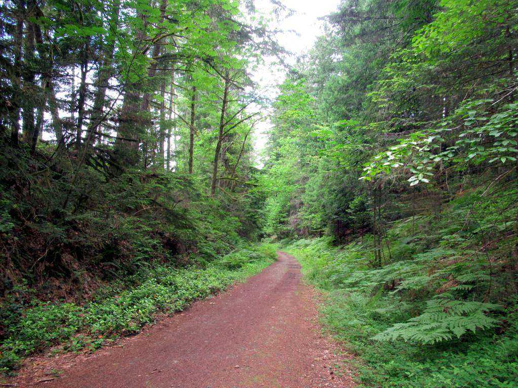 What to See on Vancouver Island? 14 Best Places 10 What to See on Vancouver Island? 14 Best Places 7