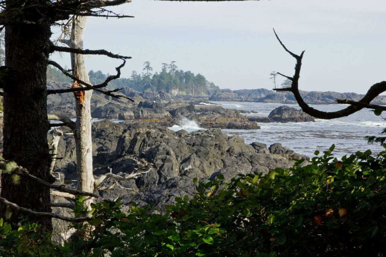 What to See on Vancouver Island? 14 Best Places 18 What to See on Vancouver Island? 14 Best Places 15