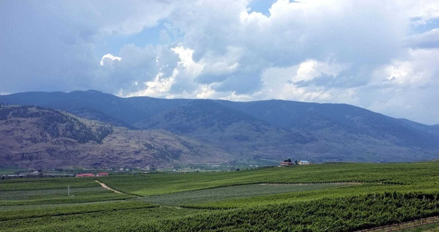 The Okanagan Lifestyle - What to Expect? 10 The Okanagan Lifestyle - What to Expect? 6