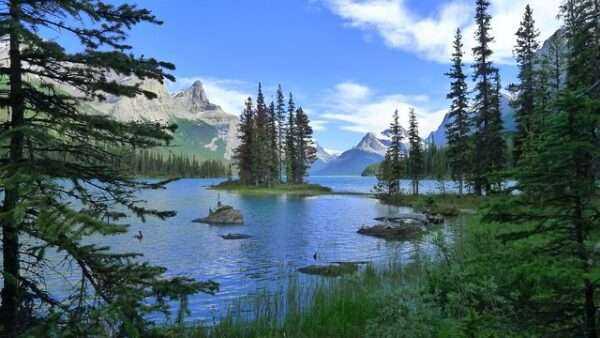 Maligne Lake : 6 Heavenly Hiking Trails 9 Maligne Lake