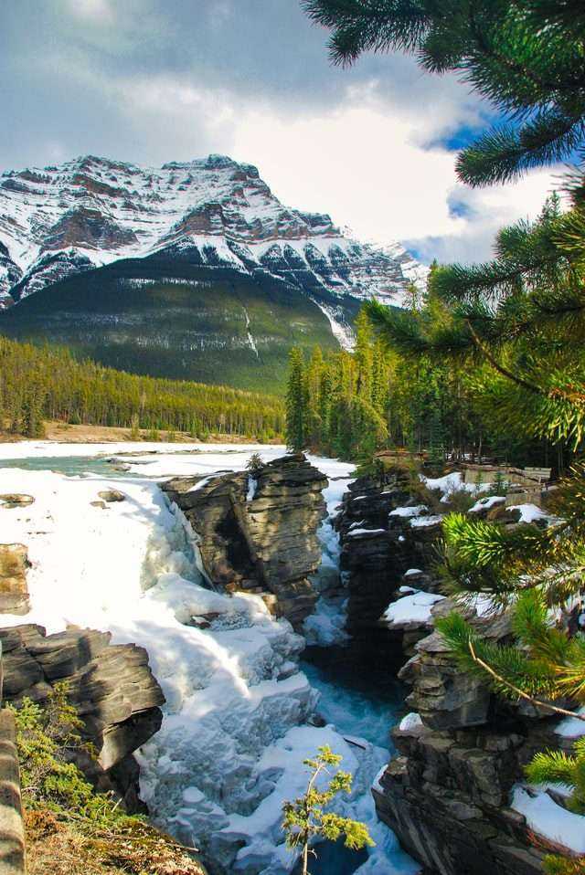 Columbia Icefield Skywalk: Best Guide For You-2021 7 Columbia icefield skywalk