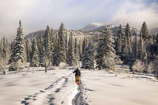 Amazing Lake Louise Ski Resort: 10 Reasons Why You Should Visit 7 Lake louise ski resort