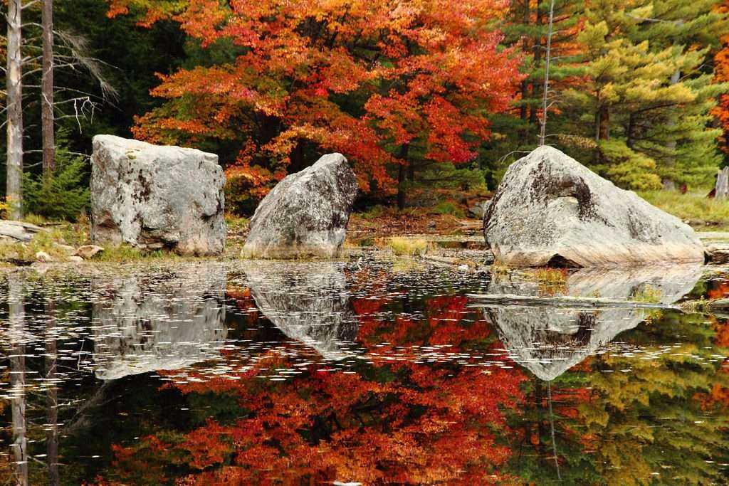 Best of Lake Muskoka: Everything You Need to Know 20 Best of Lake Muskoka: Everything You Need to Know 12