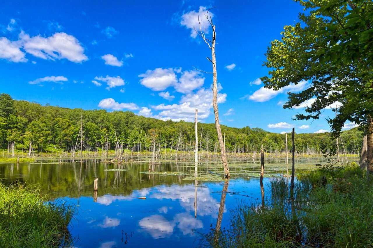 Best of Lake Muskoka: Everything You Need to Know 14 Best of Lake Muskoka: Everything You Need to Know 8