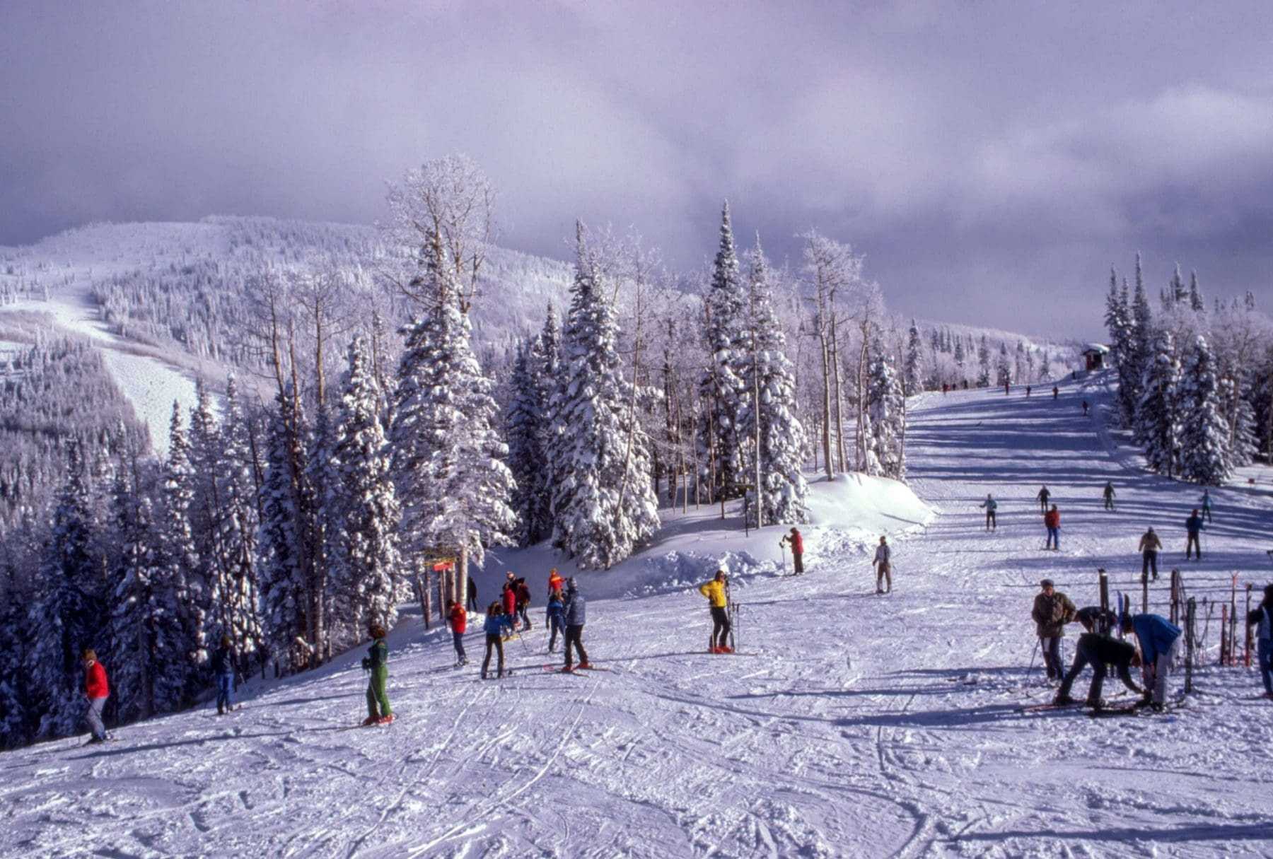 10 Best Whistler Hotels To Sojourn In For Your Next Trip! 21 10 best Whistler hotels