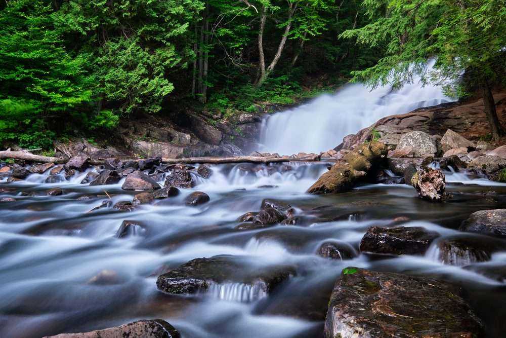 Best of Lake Muskoka: Everything You Need to Know 12 Best of Lake Muskoka: Everything You Need to Know 6