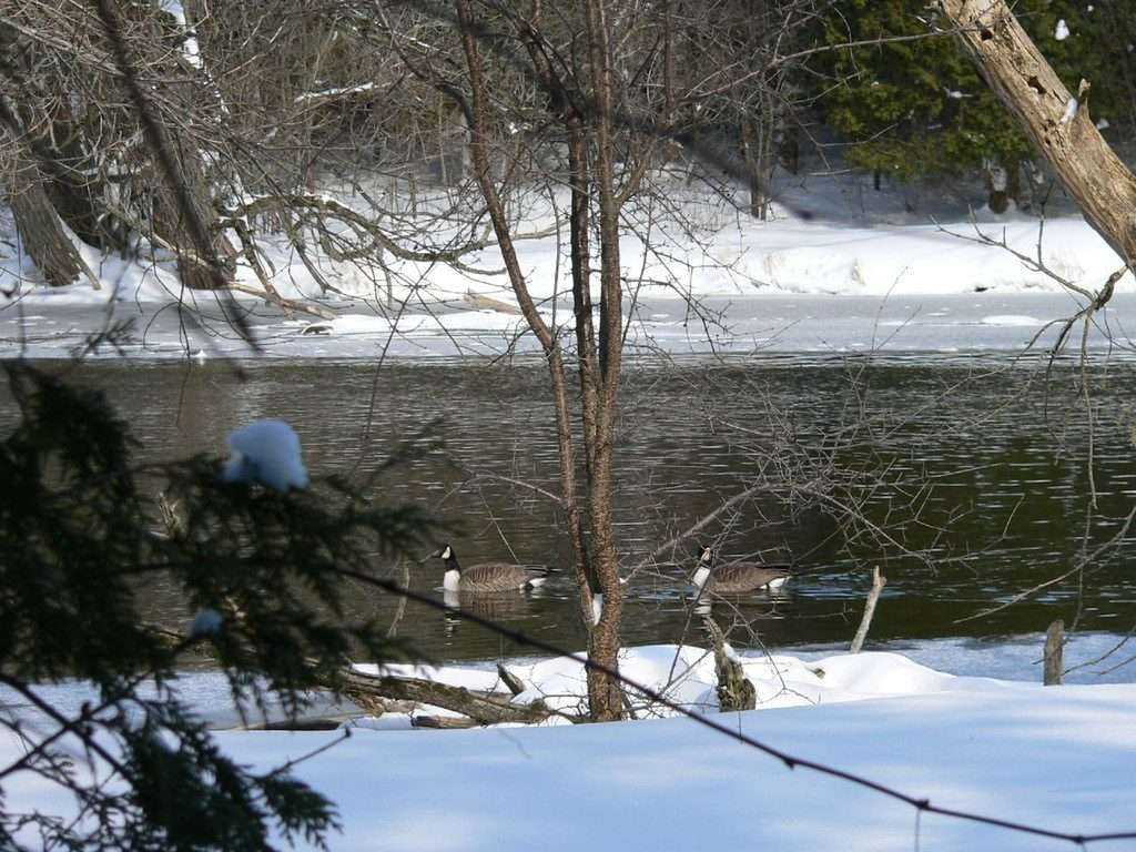 Cambridge Ontario : 20 Awesome Things To Do On Your Next Visit 20 Cambridge ontario