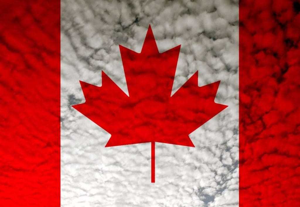 Canadian Charter of Rights and Freedoms 1982: Interesting Things You Need to Know 9 Canadian Charter of Rights and Freedoms 1982: Interesting Things You Need to Know 5