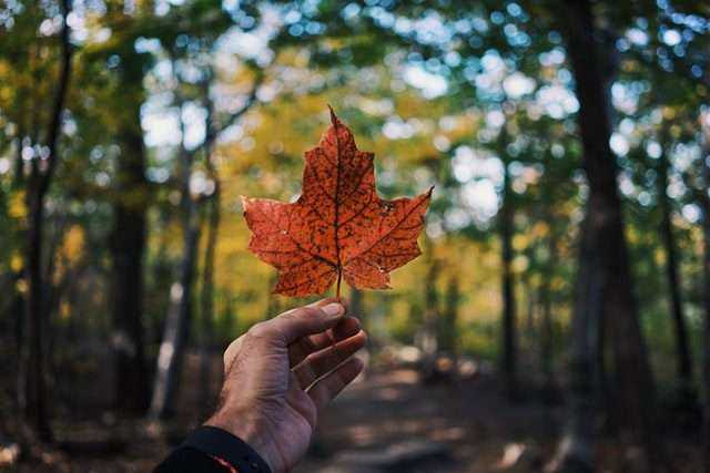 Traveling In Canada: Top 9 Important Do's & Don'ts 11 Traveling In Canada: Top 9 Important Do's & Don'ts 10