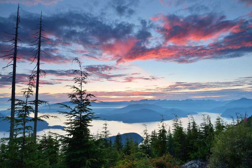 Cypress Mountain: Your Perfect Weekend Getaway 2021 8 Cypress Mountain: Your Perfect Weekend Getaway 2021 4