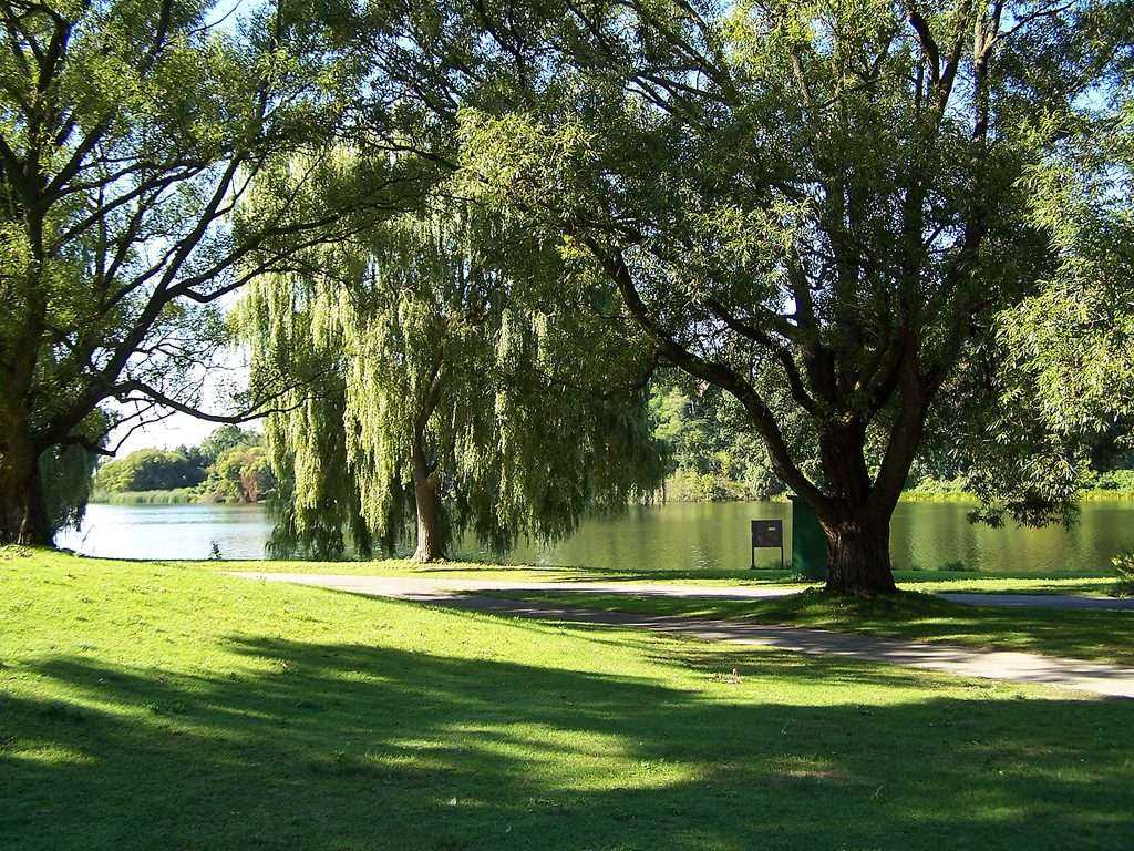 The 12 Best Parks in Toronto: An Amazing 2021 Guide 4 Grenadier Pond High Park