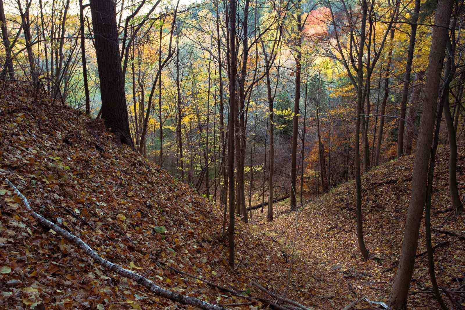 9 Amazing Things You Can Do At Rouge National Urban Park 7 rouge national urban park