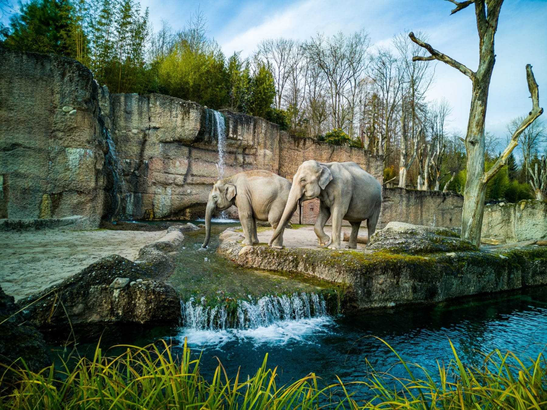 10 Fun Things To Do In Toronto During Fall 16 Toronto Zoo