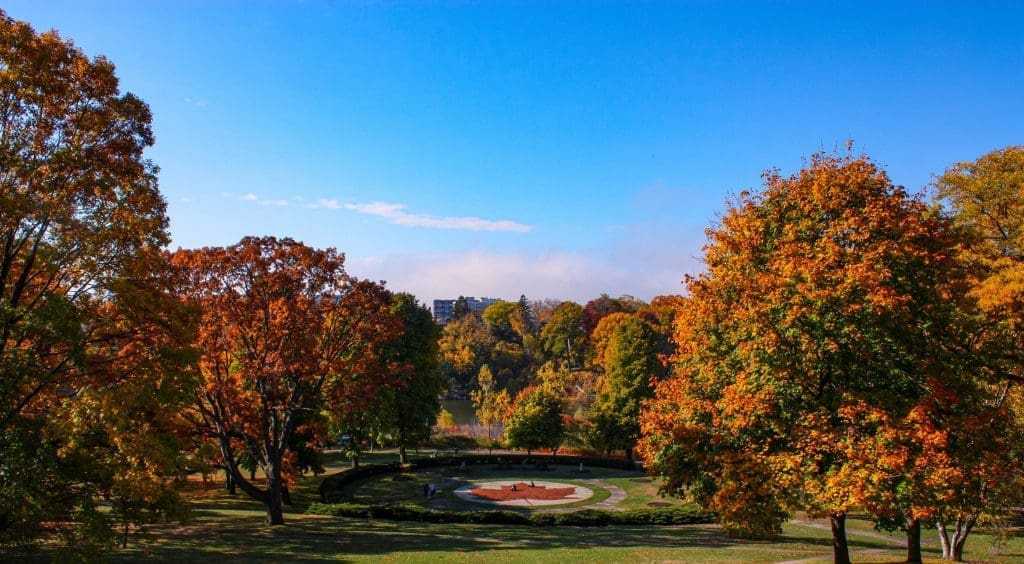 10 Fun Things To Do In Toronto During Fall 18 High Park