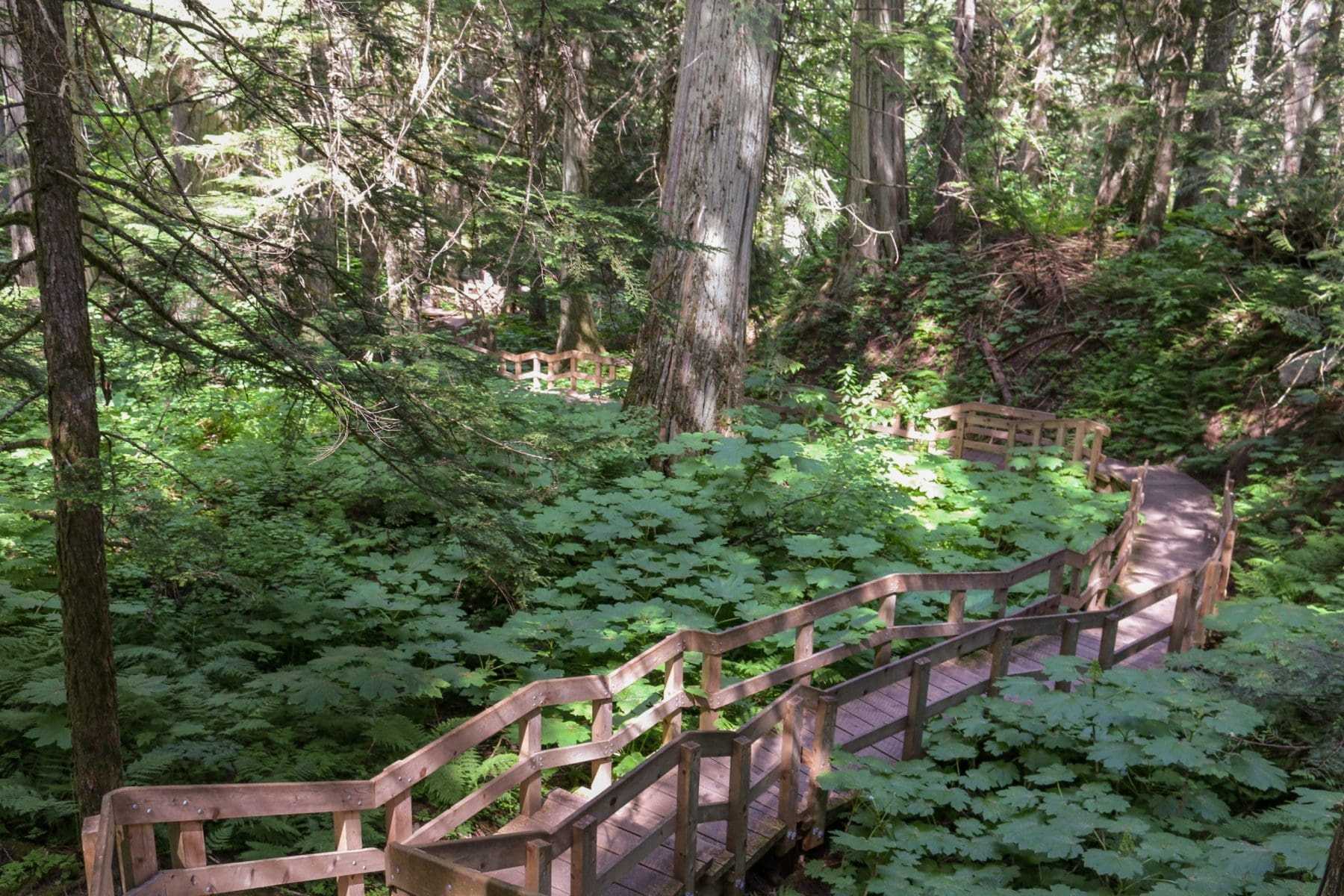 Top 22 Amazing Things To Do In Revelstoke 17 Top 22 Amazing Things To Do In Revelstoke 2
